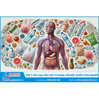 Prime 7 dangerous results of micro -plastic seeds on human well being